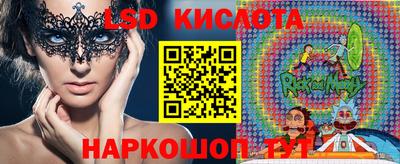 стаф Кандалакша