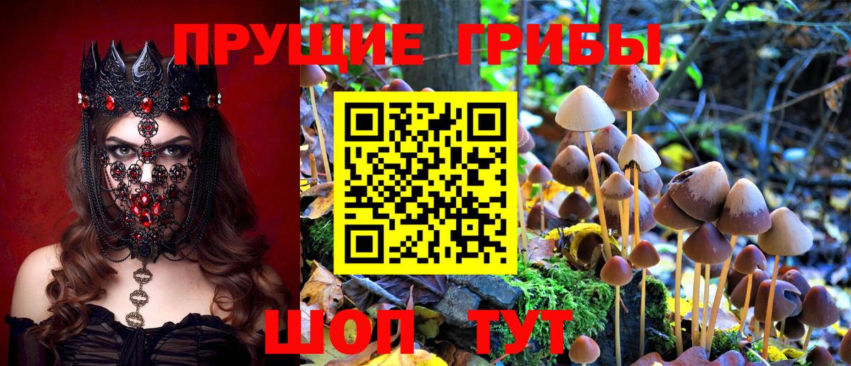 Кызыл  Псилоцибиновые грибы мухоморы  Вход с VPN 